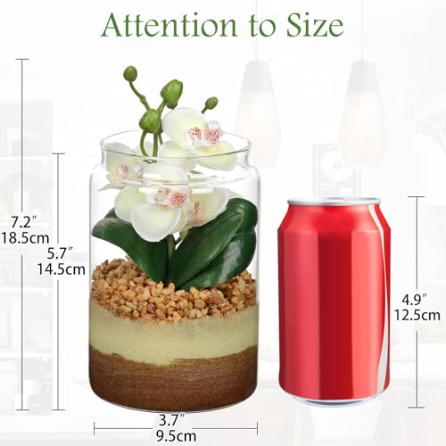 White Orchids Artificial Flowers with Vase, Small Faux Orchid Arrangement Fake Orchids Plant in Terrarium Jar Small White Orchid Centerpieces for Kitchen Dining Room Tables Bathroom Nightstand Decor - color: White +Beige &Brown Sand