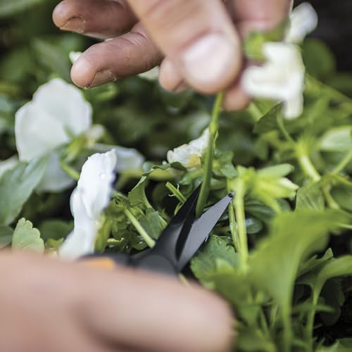Fiskars 6" Pruning Scissors (2-Pack) for Flowers, Buds, Weeds and Small Plants, Garden Snips with Resin Resistant Nonstick Stainless Steel Blades, Gardening Trimmers with Comfortable Handle - style: Non-Stick Snips (2-Pack)