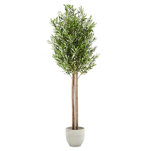 Maia Shop 7ft Artificial Olive Tree Plant for House, Apartment or Office – Realistic Fake Indoor Plants for Living Room, Bedroom, Bathroom, Entryway - color: Olive, size: 6ft 5in