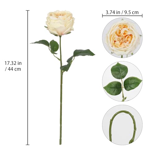 IPOPU 5PCS Real Touch Austin Roses Champagne Flowers Peony Artificial Flowers Fake Roses with Stems for Wedding Bouquet Party Home Decor(Champagne) - color: Champagne