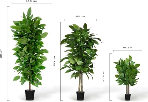 BLAINE | Mango Tree 6 FT | Decorative Artificial Plants | Large Artificial Plant | Artificial Plants for Indoor/Outdoor use | Realistic Decorative Artificial Plant for Home - size: 6 FT