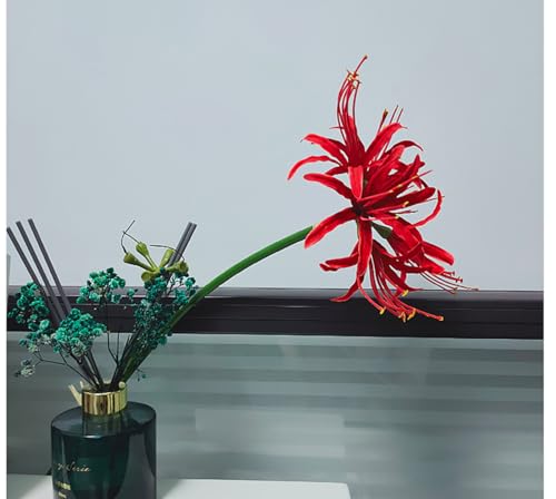 6 Sets 67 CM Lycoris Radiata Artificial Spider Lily Flowers Stonegarlic Clusteramaryllis for Home Garden Wedding Party Decor (Red) - color: Red