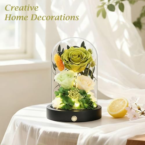 Preserved Flowers in Glass Dome with LED Light, Forever Flowers for Delivery, Eternal Roses Gifts for Women Mom Girlfriend Wife . Valentines Day Mothers Day Anniversary Birthday Gifts For Her(Green) - color: New Green