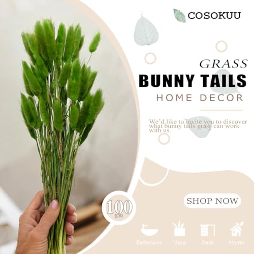 Bunny Tails Dried Flowers 100pcs Dried Pampass Grass Decor Bunny Tail Floral Stems 17 Inch Dried Flowers for Boho Decor Home Wedding Decoration Plants (Green) - color: Green