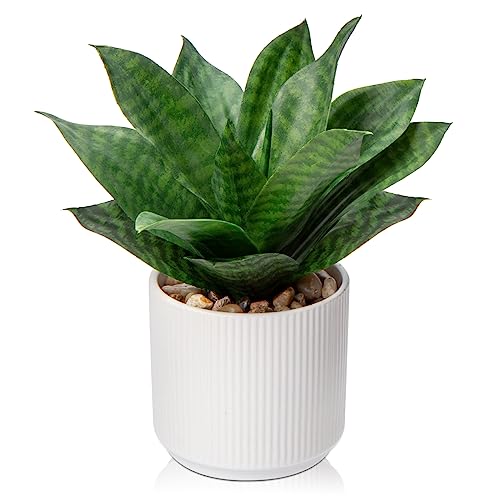 Artificial Agave Succulent Plants Faux Snake Plant Fake Succulent Agave Plant Potted in White Pot Succulent Aloe Plant for Desk Modern Office Living Room Table Shelf Home Indoor Outdoor Decor - color: Style 1-medium