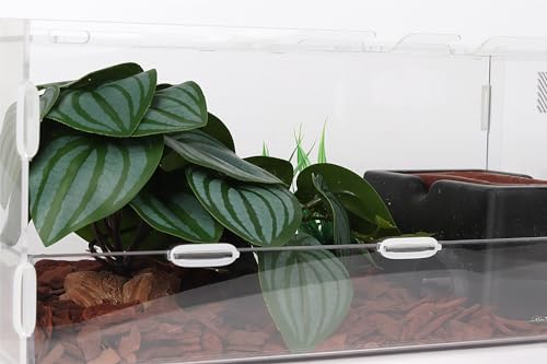 Reptile Plants for Terrarium, Ball Python Tank Decor Accessories fit Bearded Dragon Crested Leopard Gecko Lizard Chameleon Snake Frog Tortoise Hermit Crab - Fake Calathea Orbifolia - color: G-fake Calathea Orbifolia