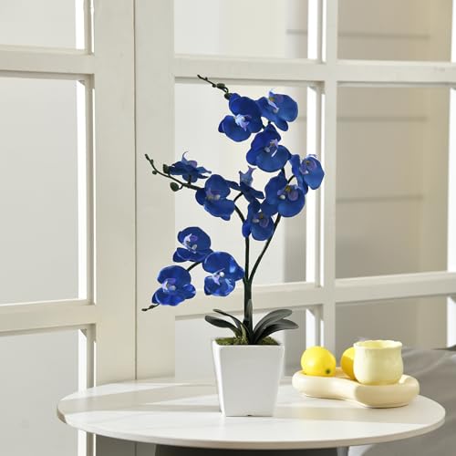 15" Tall Artificial Silk Phalaenopsis Orchid Flower Plant Pot Arrangements (Navy Blue) - color: Navy Blue