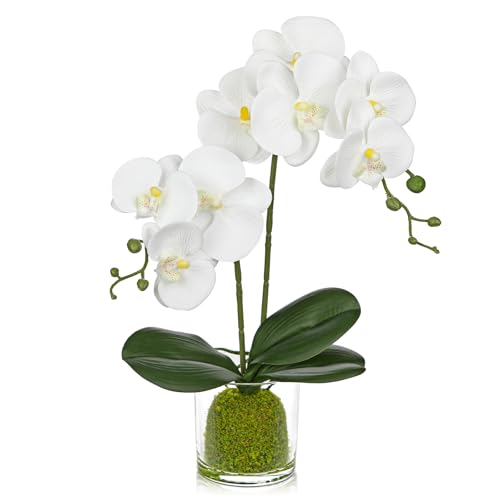 White Orchids Artificial Flowers 16.1" Faux Orchids Plant in Pot Fake Flower Arrangements with Glass Vases Small White Centerpieces for Kitchen Dining Room Tables Bathroom Nightstand Shelf Desk Decor - color: White Orchid & Green Moss Grass