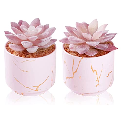 ZENIDA Succulent Artificial Plants,Cute Fake Succulents in 2 Pink Ceramic Pots,Small Fake Plants for Office,Table,Desk,Bathroom, Bedroom,Aesthetic Room Shelves Decor,Desk Decorations for Women Office - color: Pink