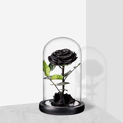 Preserved Roses Black Roses Handmade Real Rose in Glass Dome, Preserved Roses Never Withered Romantic Gifts for Her, Mother's Day, Birthday Gifts for Women (9 inch, Black) - color: Black, size: Large