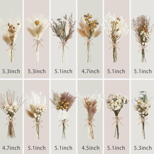 12/24 Pack Dried Flowers for Vase Various Mini Bouquet Dried Small Wildflowers Natural Real Flowers Bulk for Crafts DIY Wedding Decor (12, Plain Colour) - size: Plain Colour