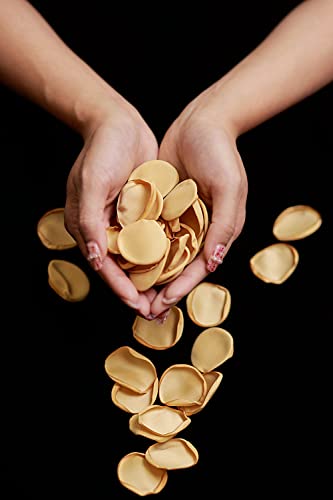TINGE TIME 200pcs Silk Rose Petals Champagne Gold Flower Petals for Wedding, Flower Girl Basket, Aisle Runner, Romantic Dinner Centerpieces, Proposal, Party Confetti - color: Champagne