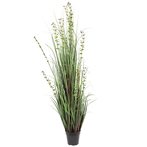 Vickerman Everyday 60" Artificial Green Grass and Eucalyptus with Black Plastic Pot - Faux Grass Plant Decor - Home Or Office Indoor Greenery Accent - size: 60"
