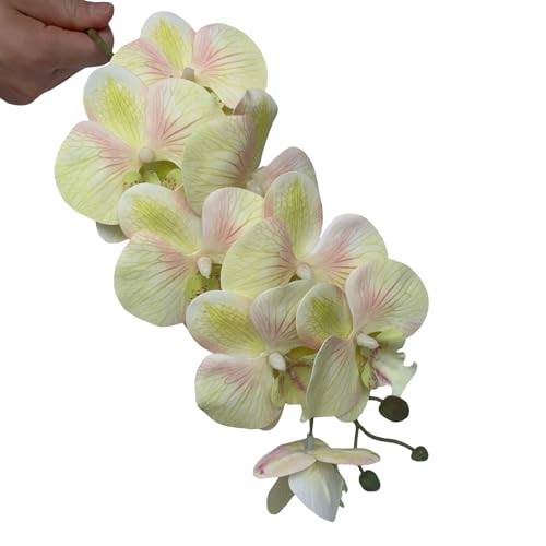 HinyoCo 5 Pcs Artificial Orchid Flowers and 4 Bundles Leaves, Artificial Phalaenopsis Flowers 32 Inch Stem Plants for Home Wedding Decoration (Light Green Pink) - color: Light Green Pink