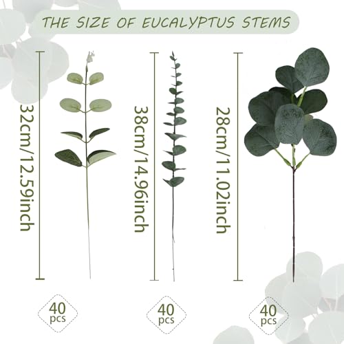Coreland 120 Pcs 3 Kinds Mixed Artificial Eucalyptus Leaves Stems Fake Silver Dollar Eucalyptus Leaves Stem Bulk Faux Leaf for DIY Bouquets Floral Arrangement Wedding Home Decor - color: Eucalyptus Leaf-120pcs
