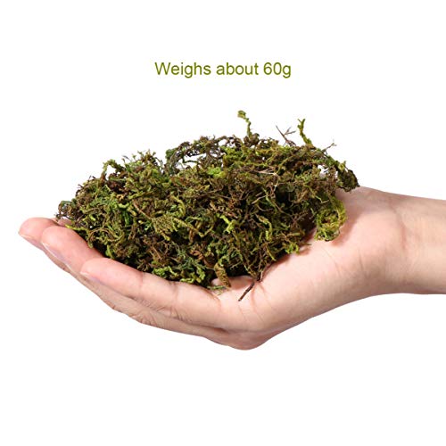 IMIKEYA Artificial Moss, 60g Fake Green Moss for Crafts, Potted Plants, Fairy Garden Decor, Wedding Table Centerpieces, Soil Cover for Indoor Planters and Terrariums