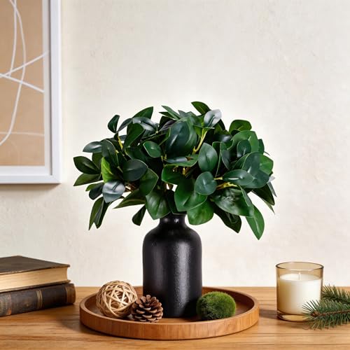 12 Inch Artificial Plant Indoor,Small Fake Plants Eucalyptus Stems With Vase,Faux Greenery In Pot For Farmhouse Home Decor,Bathroom Living Room Kitchen Office Coffee Table Centerpiece (Black) - color: Black