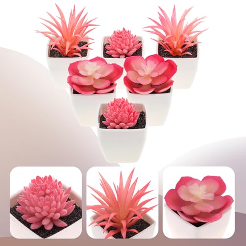 Woration 6Pcs Mini Artificial Succulent Plants Fake Plastic Succulents Potted for Garden Office Home Desk Decorations Floral Arrangement Craft- White Pots - color: Décor 3