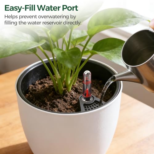 T4U Self Watering Pots for Indoor Plants, 7 Inch Self Watering Planters with Water Level Indicator, Bottom Watering African Violet Pots for Beginners & Busy Plant Owners, BPA-Free (2 Pack, White)