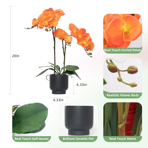 CXGS Orchids Artificial Flowers Real Touch Fake Flowers in Ceramic Pot 20" Orange Faux Orchid Plant Lifelike Silk Phalaenopsis for Centerpiece Hotel Home Indoor Decor - color: Orange- Black Vase
