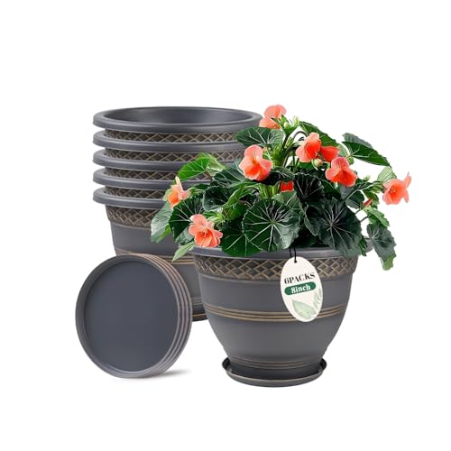 Usocik 8 Inch Plaid Plant Pots 6 Pack with Drainage and Saucers Gold | Gold plaid PP pots with drainage holes and saucers for herbs succulents starter plants shelves windowsills - color: Gold, size: 8 Inches-6 packs