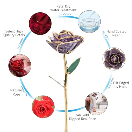 SW 24k Gold Dipped Real Rose Lasted Forever with Stand Gift for Women, Mom, Her, Christmas, Valentines Day, Mothers Day, Birthday - Purple Gold Rose - color: Blue