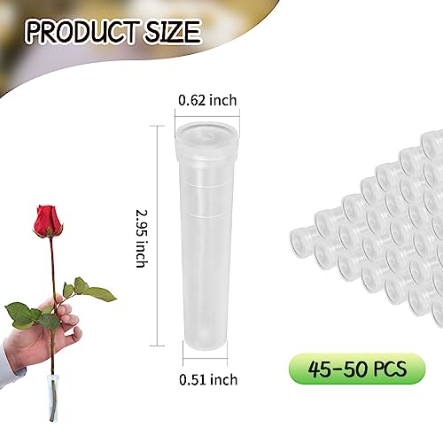 Vkinman Floral Water Tubes/Vials Reusable Plastic Flower Tubes Flower Arrangement Supplies 3 Inch Plastic Tubes for Plants Single Stem Flower 45-50Pcs