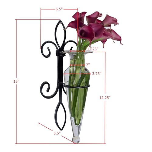 Danya B. Home Accent Wall Mount Fleur de Lis Flower Vase Sconce Made from Iron and Clear Glass, it Can be Displayed on The Wall Indoors or Perfect for The Patio