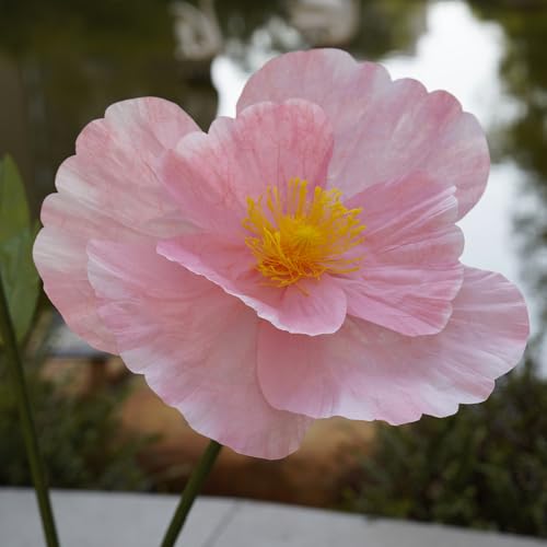 Giant Flowers,Oversized Artificial Flower with Gradient Petals,Large Paper Floral Decor with Stand for Wedding Backdrops, Event Parties, Photo Booth Props, Home Decoration (Pink) - color: Pink
