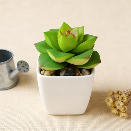 Artificial Succulent Plants in Pot - 1Pcs Small Wakame Realistic Fake Potted Succulents for Home Decor, Desk, Office, Bathroom, Windowsill - Indoor Houseplant for Bedroom, Kitchen, Shelf - color: Small Wakame