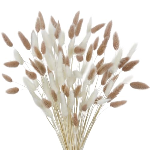 CISDUEO 120pcs Dried Bunny Tails Flowers Lagurus Ovatus Tail Dried Flowers Pampas Grass White and Light Brown Natural Dried Floral Arrangement for Boho Decor Home Wedding DIY Farmhouse Table 17" - color: White, Light Brown