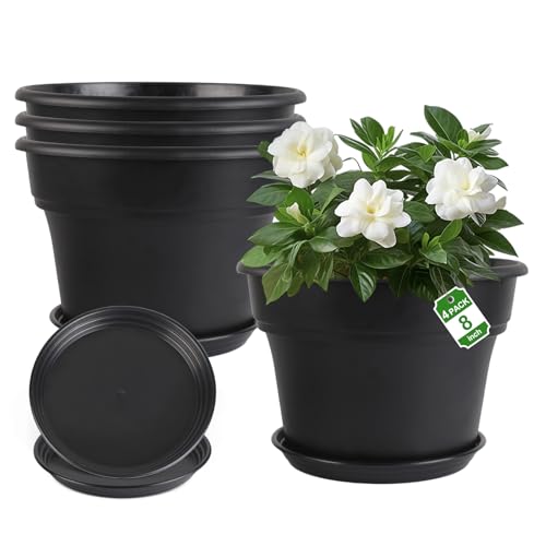 Myfeegoin 8-inch-Plant-Pots-Indoor-Outdoor, 4 Pack Plastic Planters with Drainage Holes & Saucers, Resin Flower Pots with Trays, Classic Garden Pot Container for House - color: Black, size: 8inch
