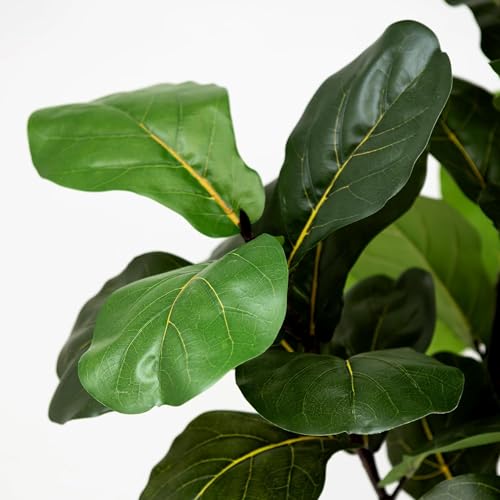 Artificial Fiddle Leaf Fig Tree: 6FT Faux Ficus Lyrata Tree Artificial Plant Indoor Outdoor Tall with Realistic Long Lasting Color Leaves in Pot - Low Maintenance Fake Fig Tree for Home Office Decor - color: Ficus Tree, size: 8in