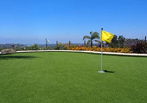 Pro Putting Green Golf Artificial Grass Turf - Indoor Outdoor Golf Training Mat, Synthetic Fake Grass for Baseball Football Gym Sports - size: 10FTX32FT