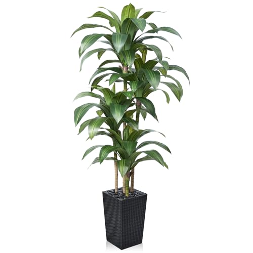 VeriNatural 6FT Artificial Dracaena Tree - UV Resistant Faux Tropical Plant, Potted Fake Tree with Taper Planter & Pebbles - Indoor Outdoor Greenery for Home, Porch, Living Room, Bedroom Decor, VN127 - color: Black, size: 6ft