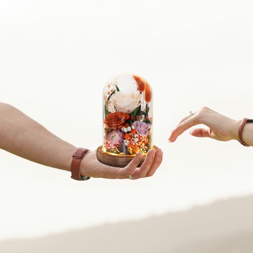 Forever Flower Gifts for Her:Perfect Graduation Flowers for Daughter Wife Mom-Preserved Flower with Symbolic Ladybugs–Flowers for Delivery Prime on Anniversary Valentines Birthday (Orange) - color: Orange2