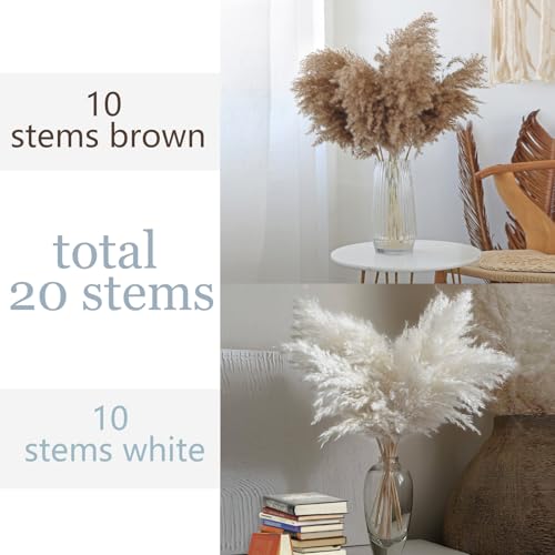 28" inch 20 Stems Large Pampas Grass Decor - Fluffy Brown & White Pampas Grass Decor Tall Pompas Grass for Floor Vase - Boho Home Decor Wedding Decor Natural Flower Bouquet - size: 20pcs 10brown & 10white