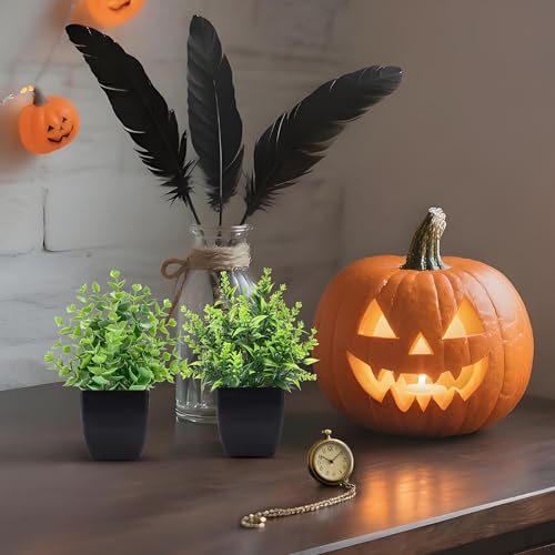 2 Pack Small Fake Plants Black Bathroom Accessories for Home Bedroom Bathroom Kitchen Decor - color: Black