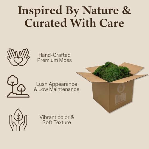 Preserved Sheet Moss - Natural Decorative Moss - Dried Moss for Crafts, Home Decor, Art, Design & DIY Projects - Non-Toxic - Green - Standard Box - Covers 5-7 sq. ft. - color: Sheet Moss, size: Box