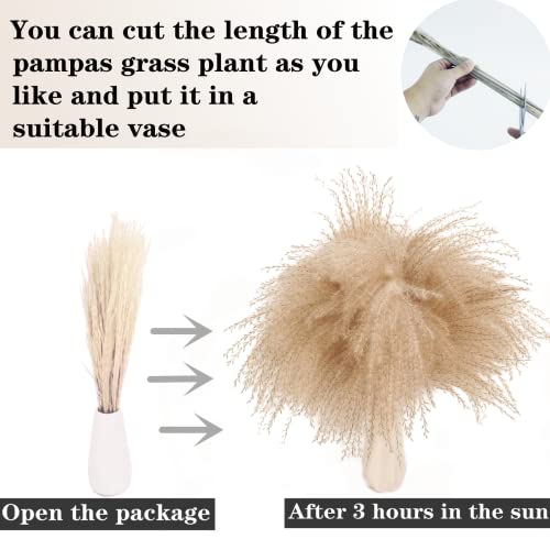 240 PCS Dried Flower Bouquet – Pampas Grass, Floral Decor for Home, Wedding, and Boho Style | Perfect for Vases, Fall, Spring, Summer, and Winter Arrangements - size: 240PCS