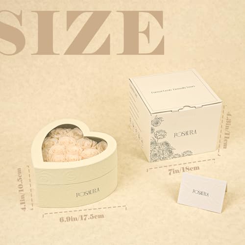 Rosaura Heart-Shaped Preserved Roses Gift Box - Real Forever Flowers for Christmas, Birthday, Valentine's & Mother's Day (Champagne, 16 roses) - color: Champagne, size: 16 roses