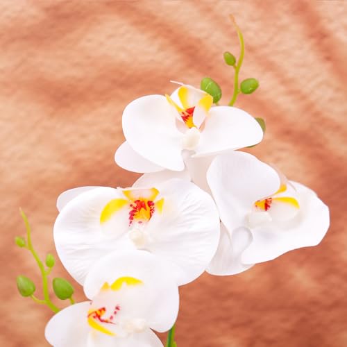 16.5 Inch White Artificial Orchid Flowers in Pot - Lifelike Phalaenopsis Potted Plant for Home Decor - Maintenance-Free Faux Flower for Bathroom, Office, Kitchen - Realistic Bonsai Gift - color: White