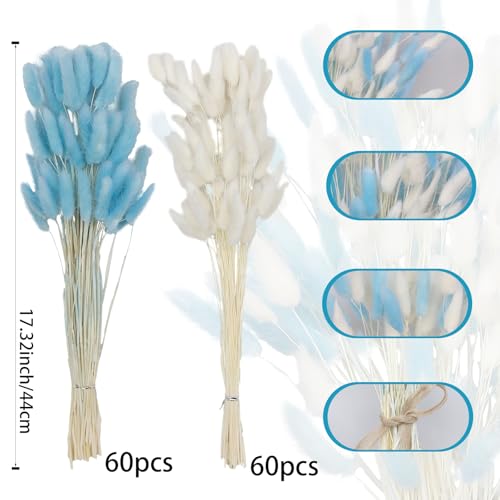 CISDUEO 120pcs Dried Bunny Tails Flowers Lagurus Ovatus Tail Dried Flowers Pampas Grass White and Blue 17" Natural Dried Floral Arrangement for Boho Decor Home Wedding DIY Farmhouse Table Christmas - color: White, Blue
