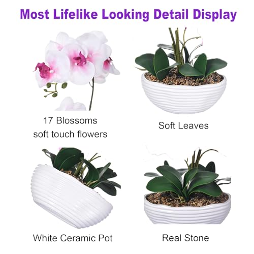 19" H Phalaenopsis Faux Orchid Plant Silk Orchid Centerpiece Artificial Floral Arrangement in Ceramic Pot (White and Pink) - color: White and Pink