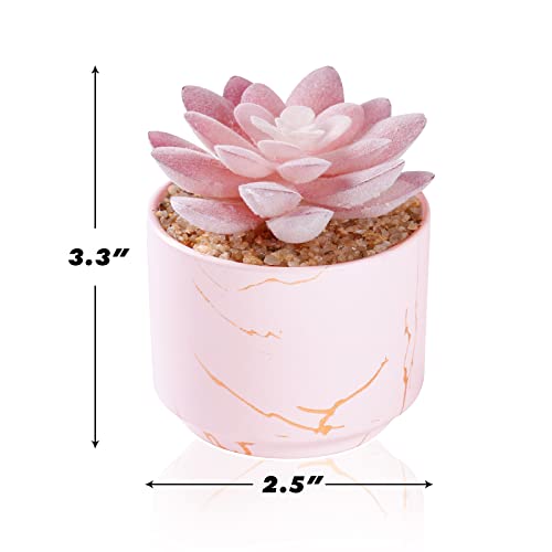 ZENIDA Succulent Artificial Plants,Cute Fake Succulents in 1 Pink Ceramic Pots,Small Fake Plants for Office,Table,Desk,Bathroom, Bedroom,Aesthetic Room Shelves Decor,Desk Decorations for Women Office - color: Pink