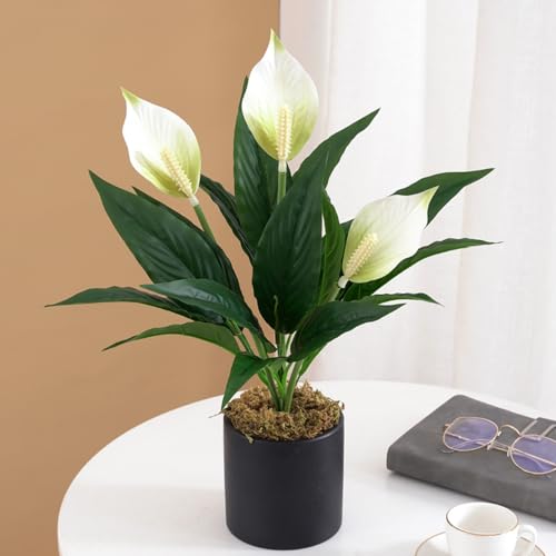 2 Packs Artificial Spathiphyllum Silk Plants 18.5" Faux Peace Lily Anthurium Flower for Wedding Home Garden Decoration (White) - color: White