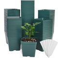 June Fox 100 Pack Green Square Nursery Pots with Drainage Holes 3.3 Inches Flexible Plastic Seedling Pots Square Pots for Plants, Succulent, Flower, with Plant Labels - color: Green