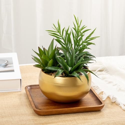 Briful Fake Succulents in Gold Metal Pot, Artificial Succulent Plants Arrangement for Home Decor, Small Faux Potted Plants Tabletop Centerpiece, Desk Office Bathroom Shelf Decorations - color: Gold#1