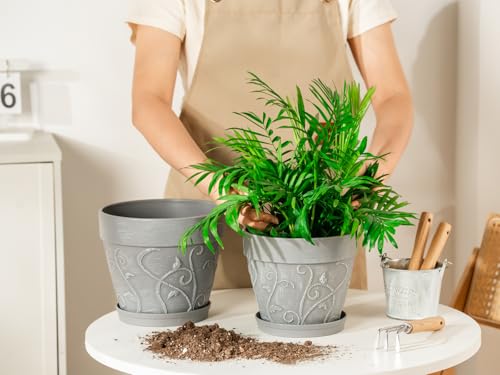 Melphoe Plant Pots Indoor with Drainage & Saucer, 2Pack 7/8 inch Flower Pots Outdoor Planters for Indoor Plants Garden Home Decor Cactus Succulent, Rigid Plastic (Imitation-Terracotta) Vine-Embossed - color: Cement Grey Color, size: 7''+8"