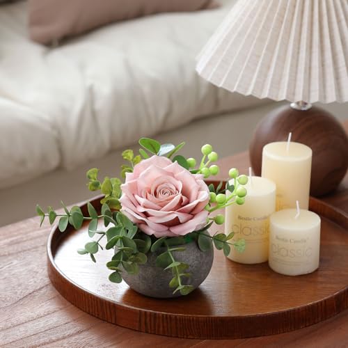 mizii DIY Small Artificial Flowers Potted Kit Fake Flower Realistic Silk Rose and Greenery with Vase for Gifts Table Centerpiece Mantle Office Desk Shelves Living Room Decorations (Light Pink) - color: Light Pink